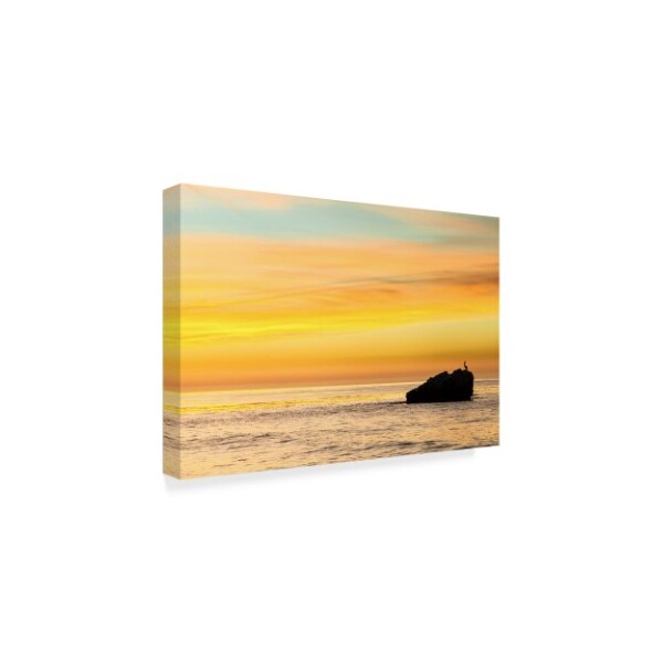 Chris Moyer 'Pelican Sunrise' Canvas Art,16x24